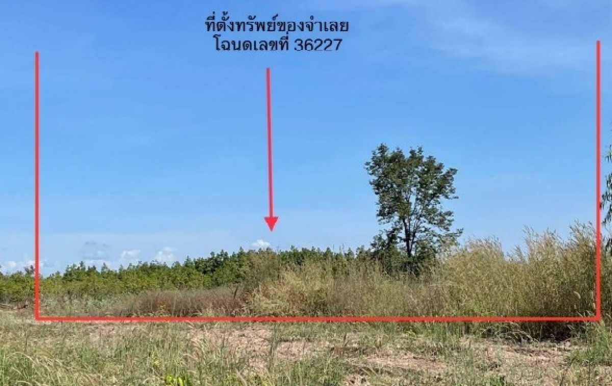 ที่ดินเปล่า หนองคาย โพนพิสัย นาหนัง 42100