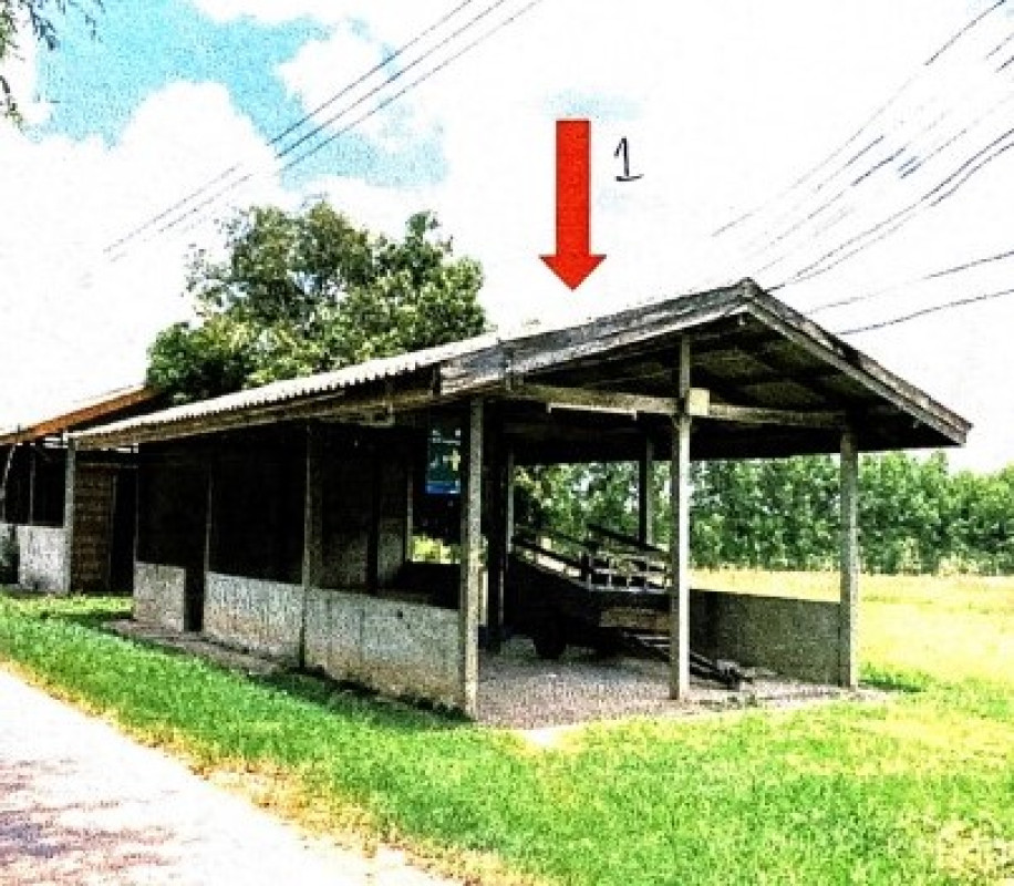 Single house Ubon Ratchathani Phibun Mangsahan Don Chik 757100