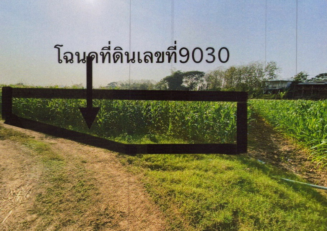 ที่ดินเปล่า พะเยา เชียงม่วน สระ 172200
