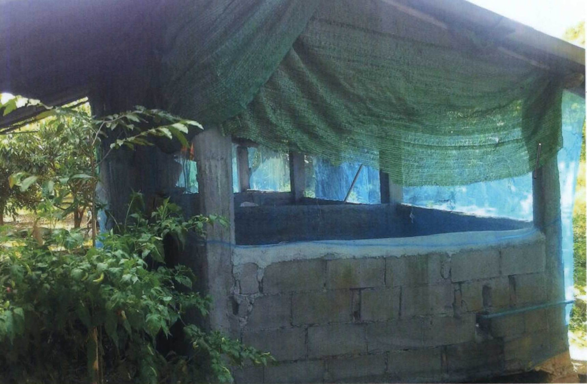 Single house Phayao Chun Lo 113070