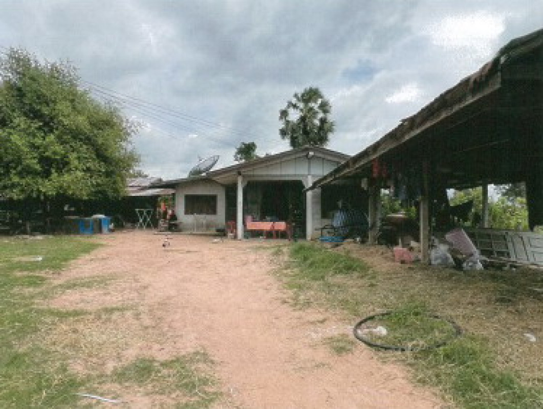 บ้านเดี่ยว นครราชสีมา บัวใหญ่ หนองแจ้งใหญ่ 399750