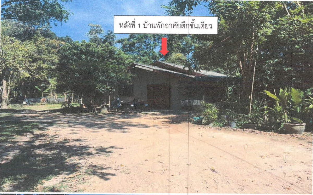 บ้านเดี่ยว อุบลราชธานี เมืองอุบลราชธานี ขี้เหล็ก 883215