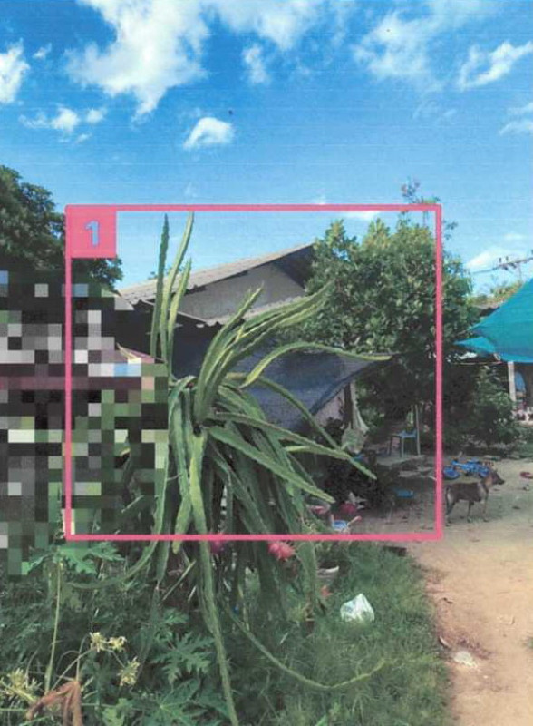บ้านเดี่ยว นราธิวาส เมืองนราธิวาส บางนาค 1430390