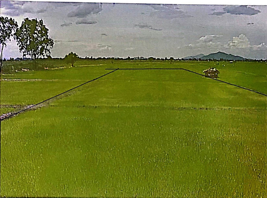 ที่ดินเปล่า พะเยา เมืองพะเยา แม่นาเรือ 749100