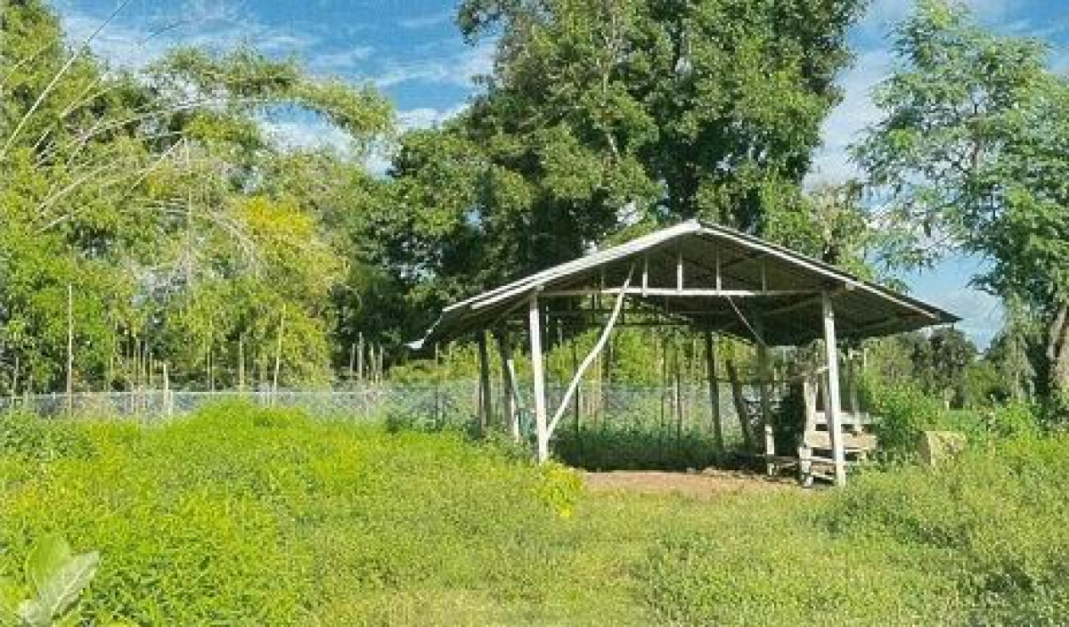 บ้านเดี่ยว ศรีสะเกษ ศรีรัตนะ ตูม 65280
