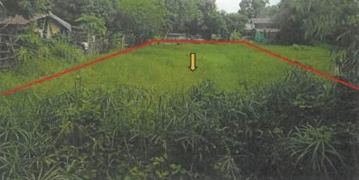 ที่ดินเปล่า กาฬสินธุ์ ฆ้องชัย ฆ้องชัยพัฒนา 90000