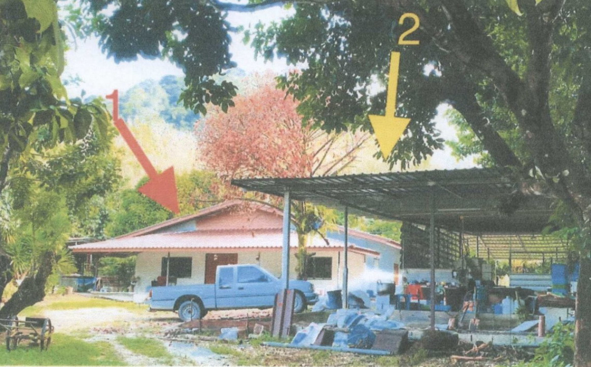 บ้านเดี่ยว พังงา ตะกั่วป่า บางไทร 1629200