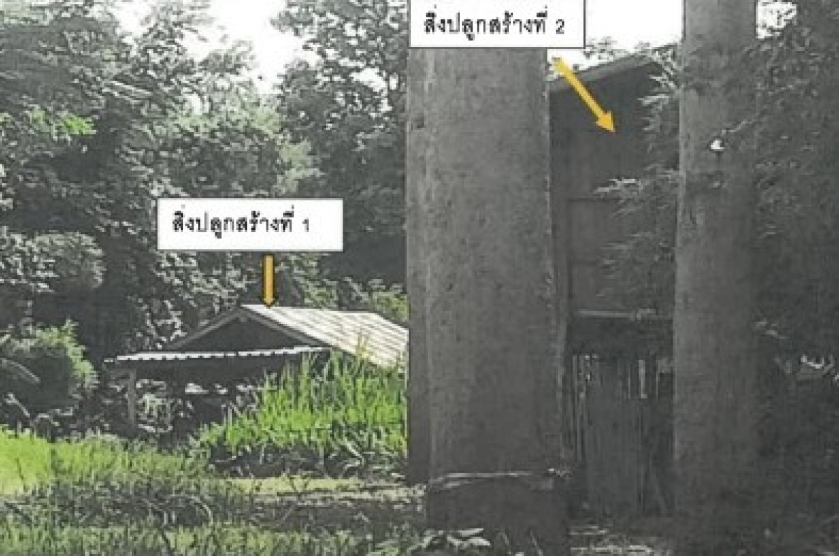 บ้านเดี่ยว กาฬสินธุ์ ฆ้องชัย ฆ้องชัยพัฒนา 195000