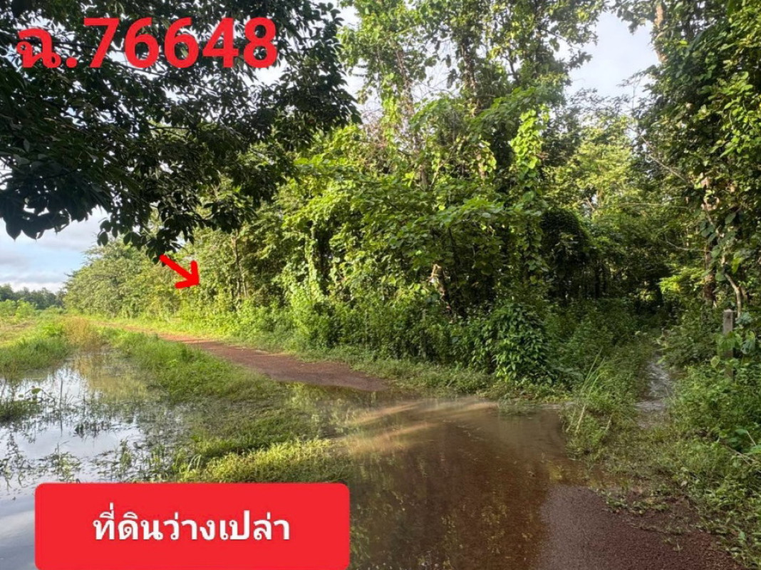 ที่ดินเปล่า สกลนคร เจริญศิลป์ โคกศิลา 249000