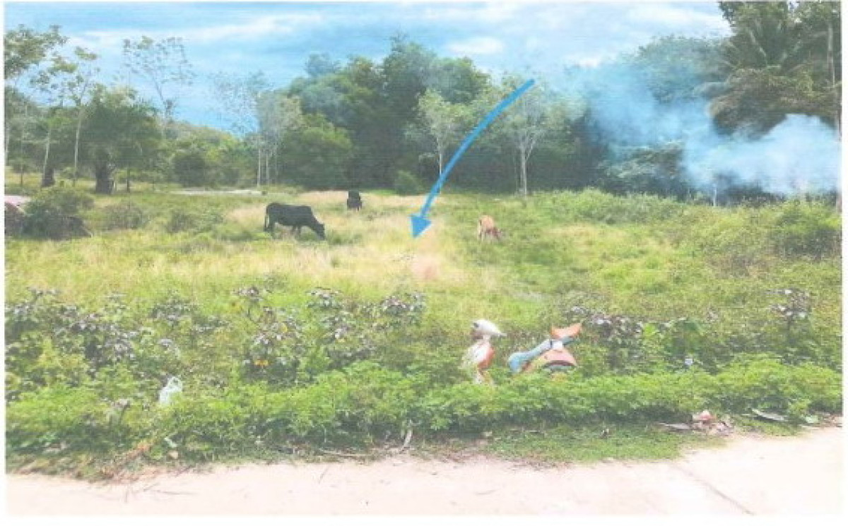 Residential land/lot Songkhla Thepha Pak Bang 204990