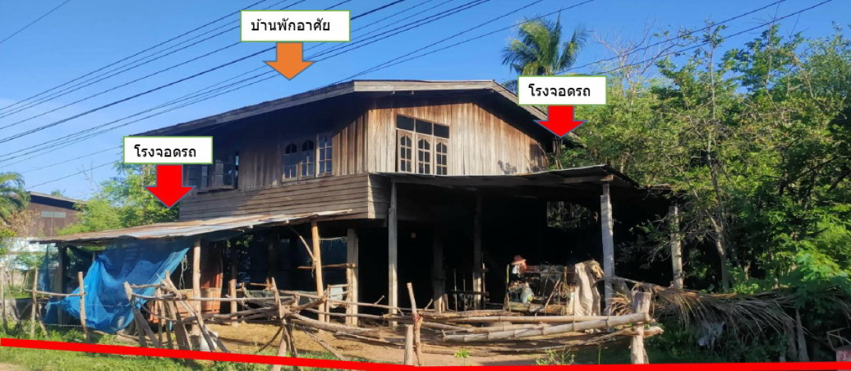 บ้านเดี่ยว นครราชสีมา บัวใหญ่ หนองแจ้งใหญ่ 166304