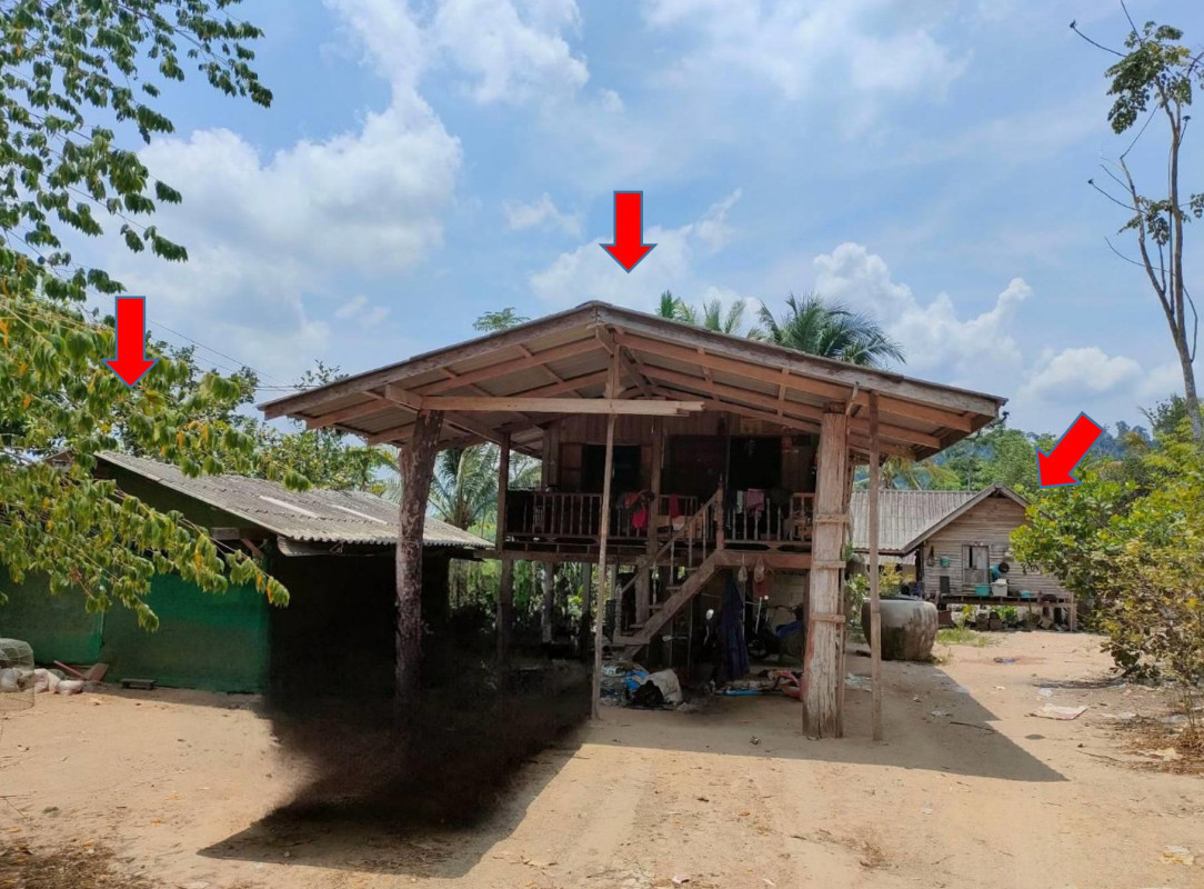 บ้านเดี่ยว สุราษฎร์ธานี วิภาวดี ตะกุกเหนือ 183030