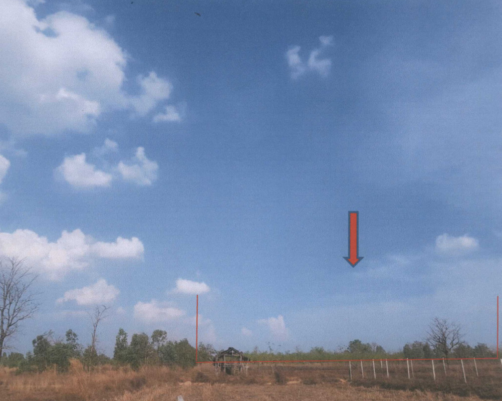 ที่ดินเปล่า สกลนคร วานรนิวาส หนองสนม 572000