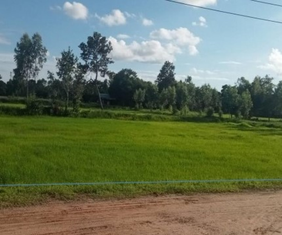ที่ดินเปล่า อุบลราชธานี เขื่องใน ศรีสุข 561488