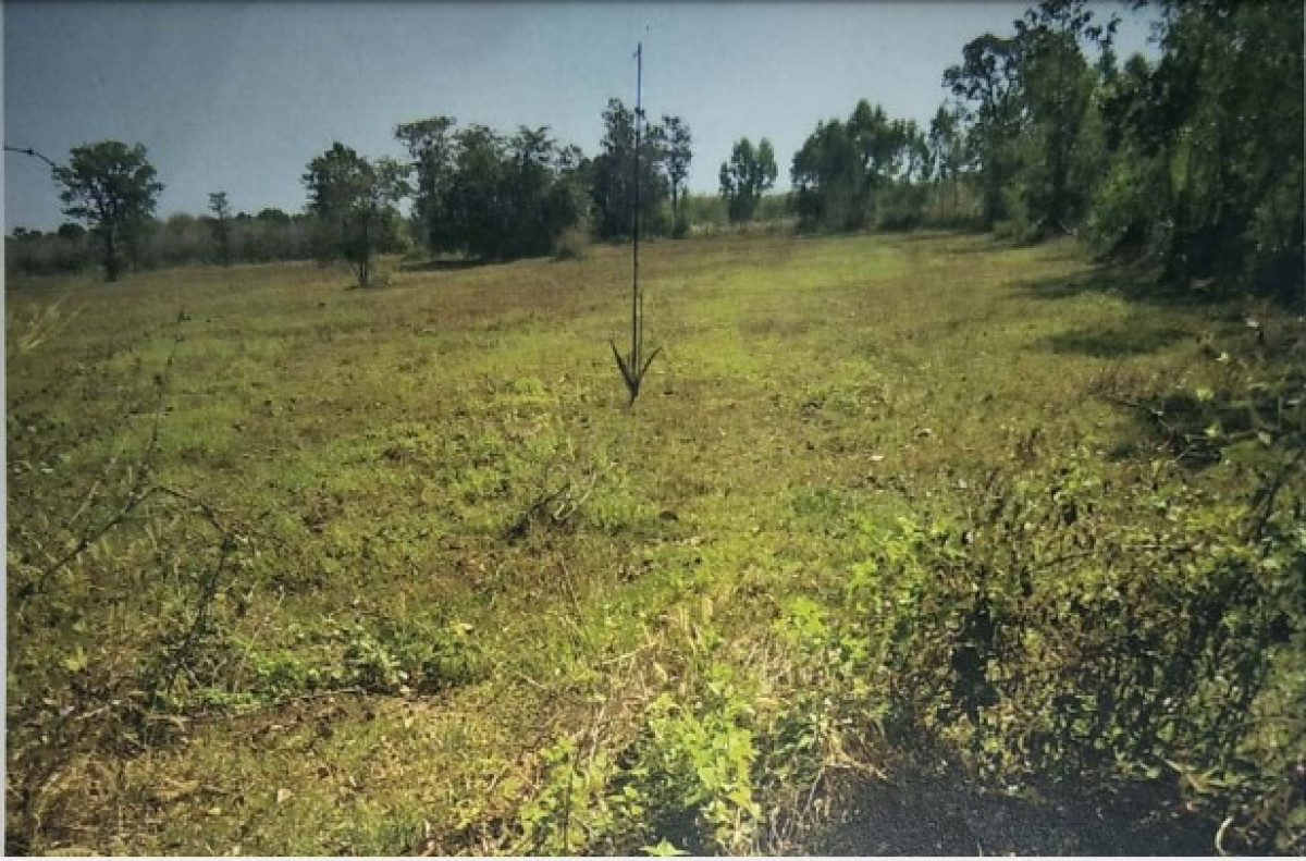 Residential land/lot Ubon Ratchathani Sawang Wirawong Tha Chang 78750