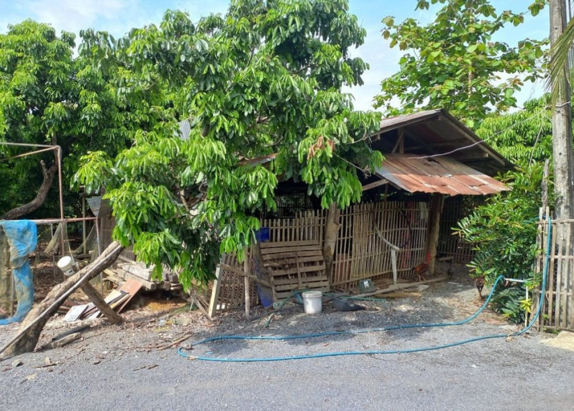บ้านเดี่ยว เชียงใหม่ ดอยสะเก็ด ป่าป้อง 581940