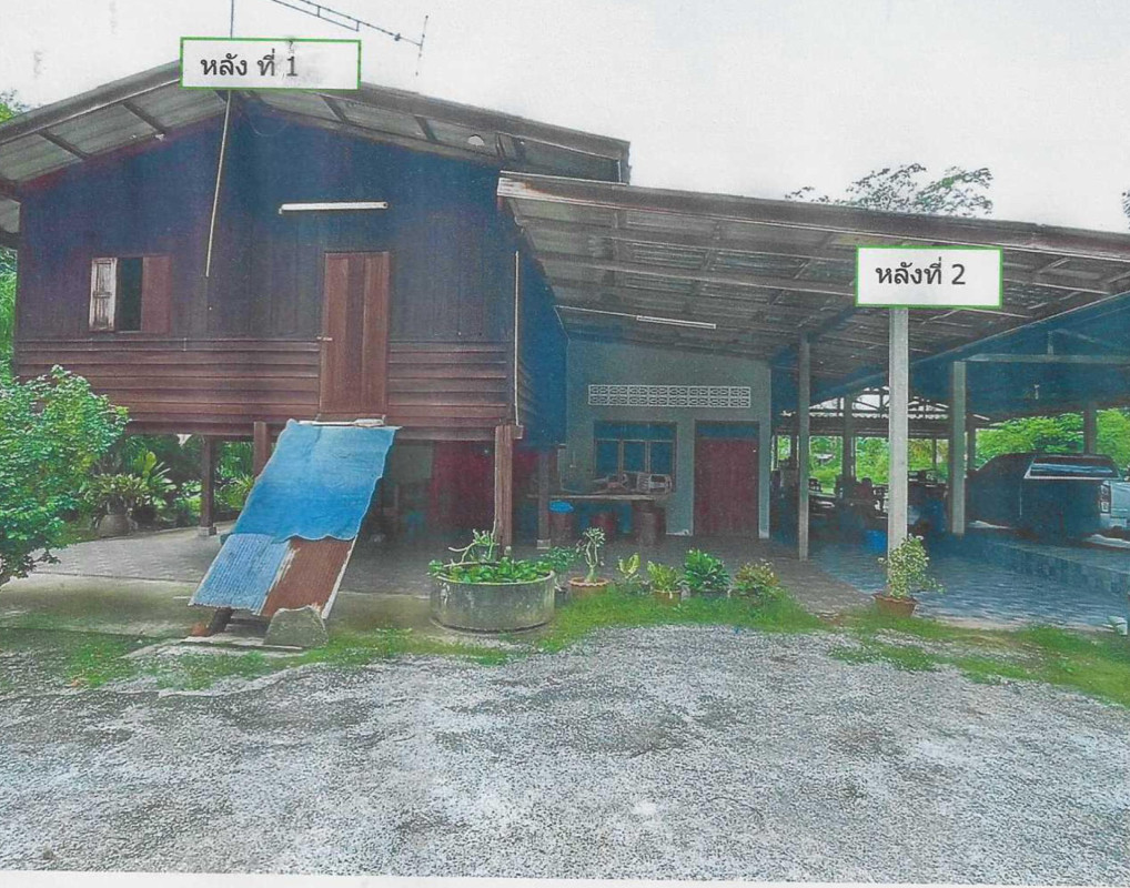 บ้านเดี่ยว สุราษฎร์ธานี ท่าฉาง คลองไทร 5244580