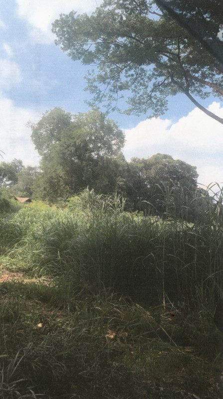 Residential land/lot Phra Nakhon Si Ayutthaya Tha Ruea Champa 21000