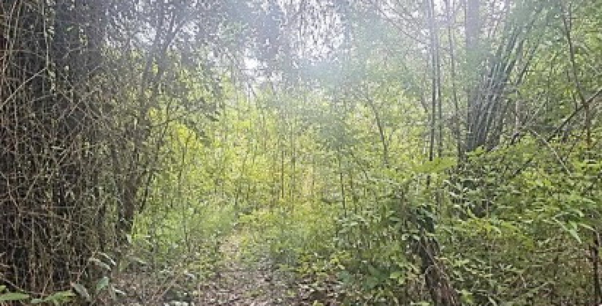 ที่ดินเปล่า กาฬสินธุ์ เขาวง สงเปลือย 42000