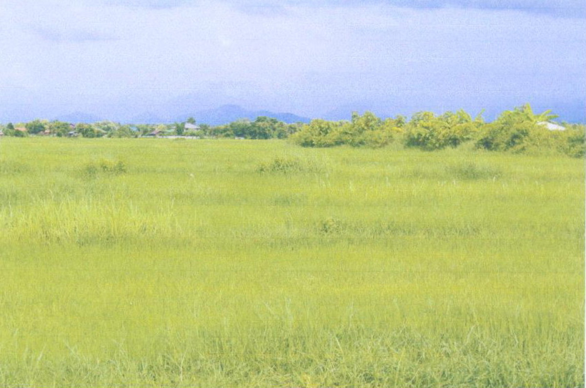 ที่ดินเปล่า แพร่ เมืองแพร่ ทุ่งกวาว 183600