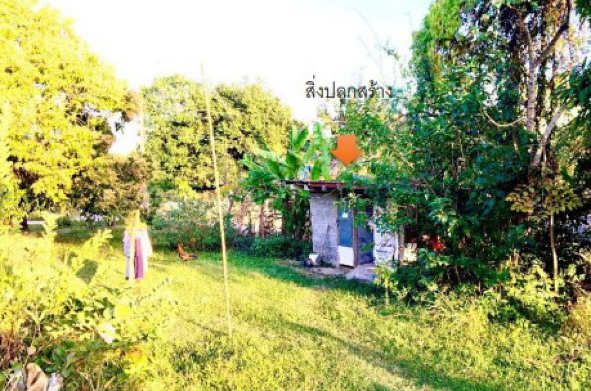 บ้านเดี่ยว อุบลราชธานี สว่างวีระวงศ์ บุ่งมะแลง 203580
