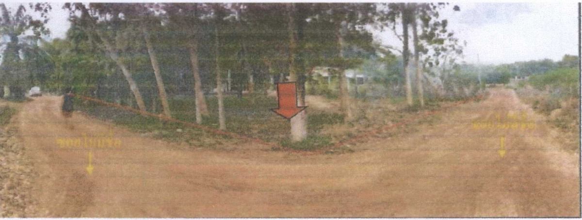 บ้านเดี่ยว สกลนคร ส่องดาว วัฒนา 934880