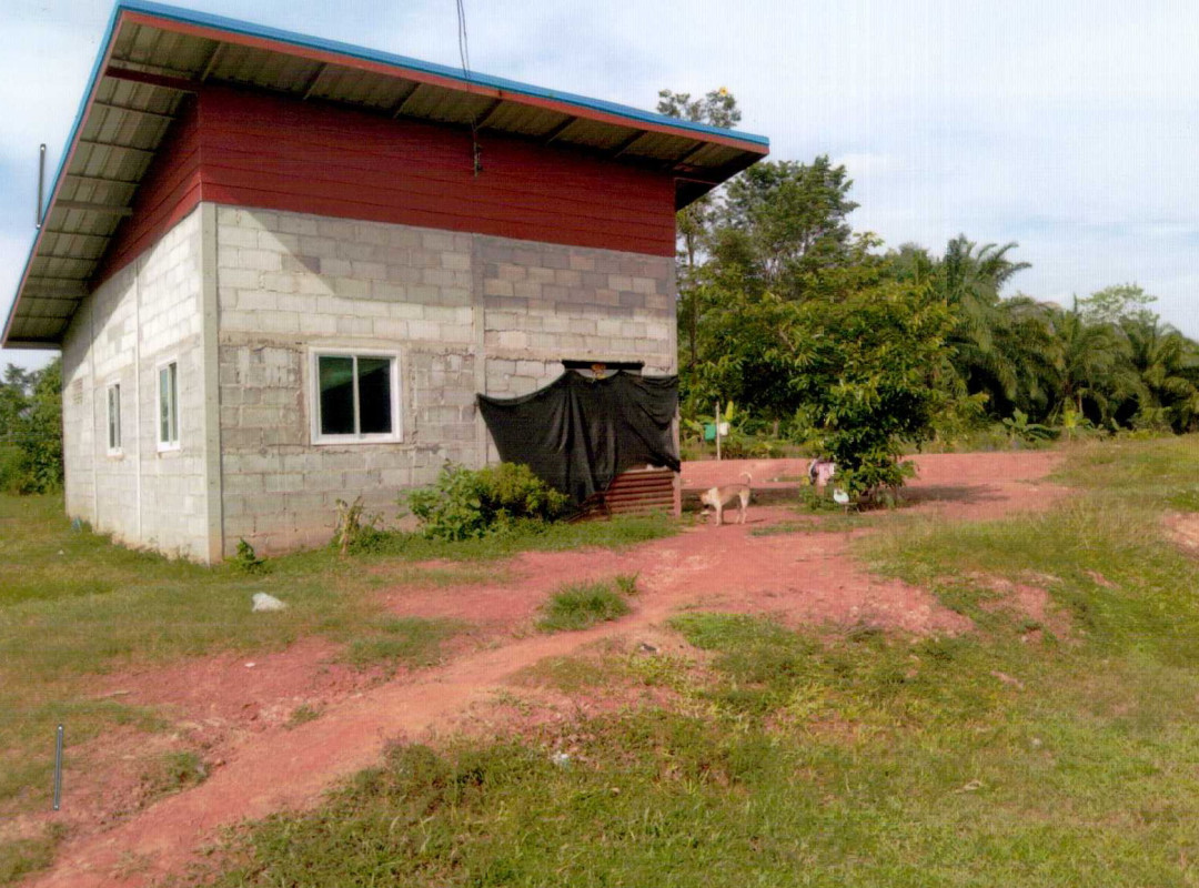 บ้านเดี่ยว บึงกาฬ โซ่พิสัย คำแก้ว 719141