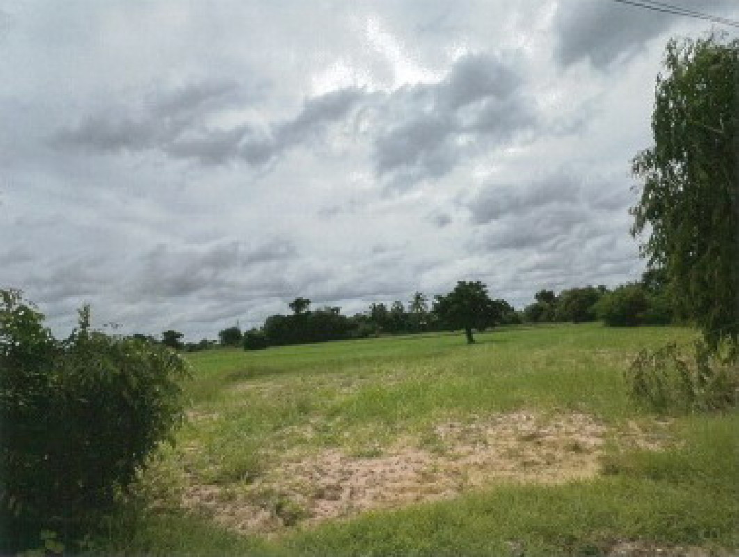 Residential land/lot Nakhon Ratchasima Bua Yai Nong Chaeng Yai 355870