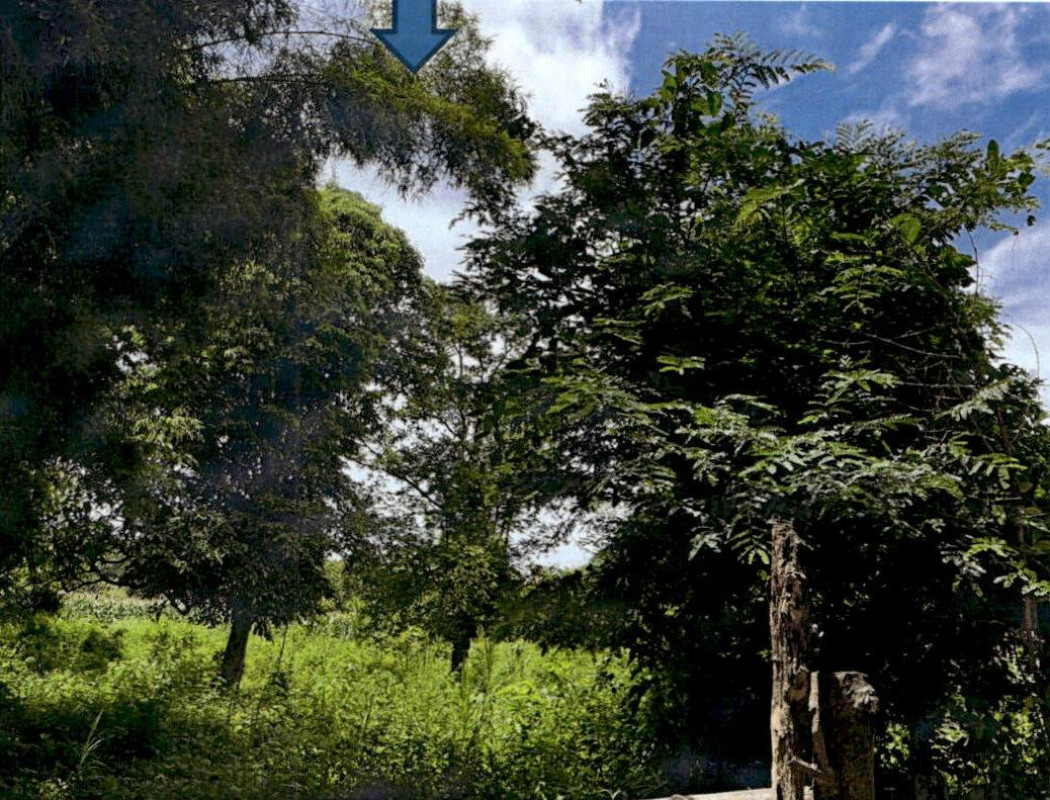 ที่ดินเปล่า ลำปาง แม่เมาะ แม่เมาะ 104250