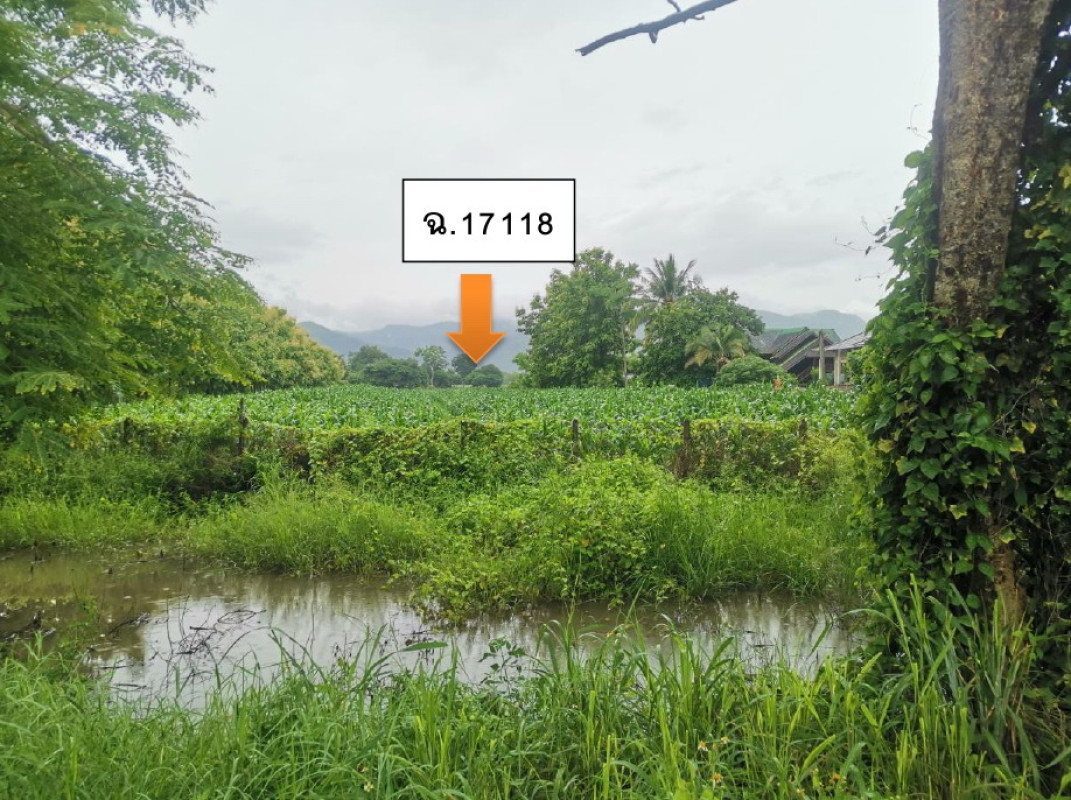 ที่ดินเปล่า พะเยา ดอกคำใต้ บ้านปิน 4312920
