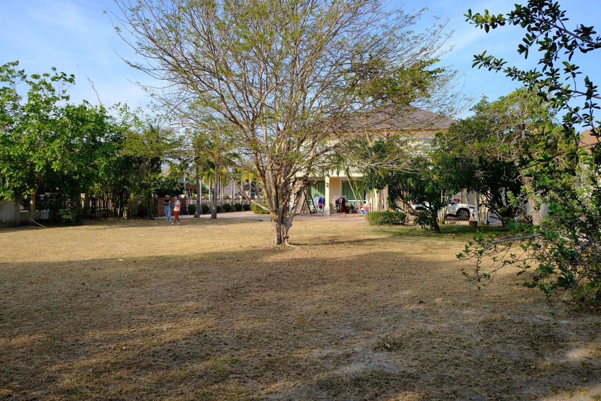 ที่ดินเปล่า อยู่สบาย ชะอำ เพชรบุรี ชะอำ ชะอำ 5500000