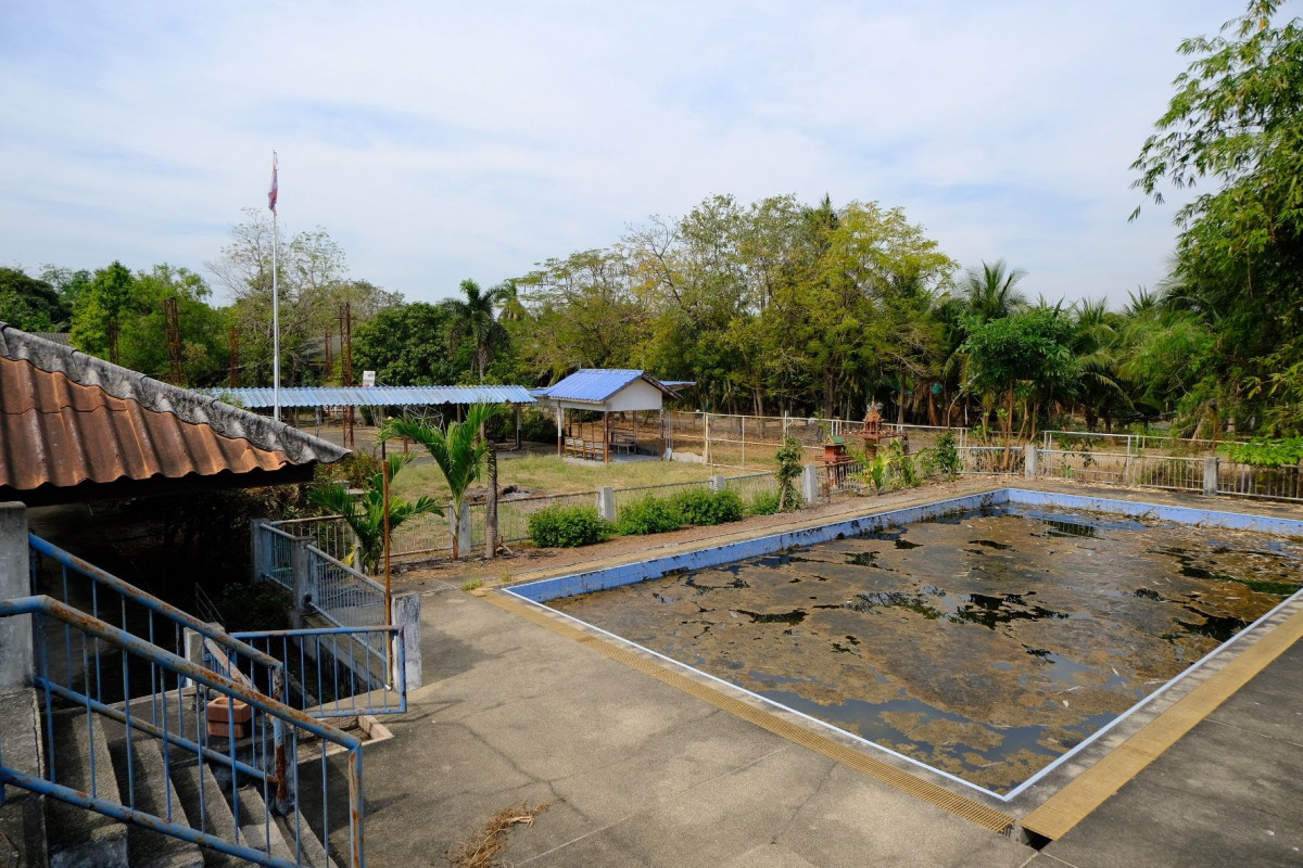 ที่ดินเปล่า ปทุมธานี หนองเสือ หนองสามวัง 32000000