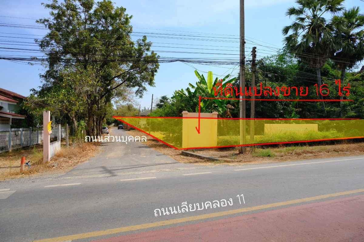 ที่ดินเปล่า ปทุมธานี หนองเสือ หนองสามวัง 32000000