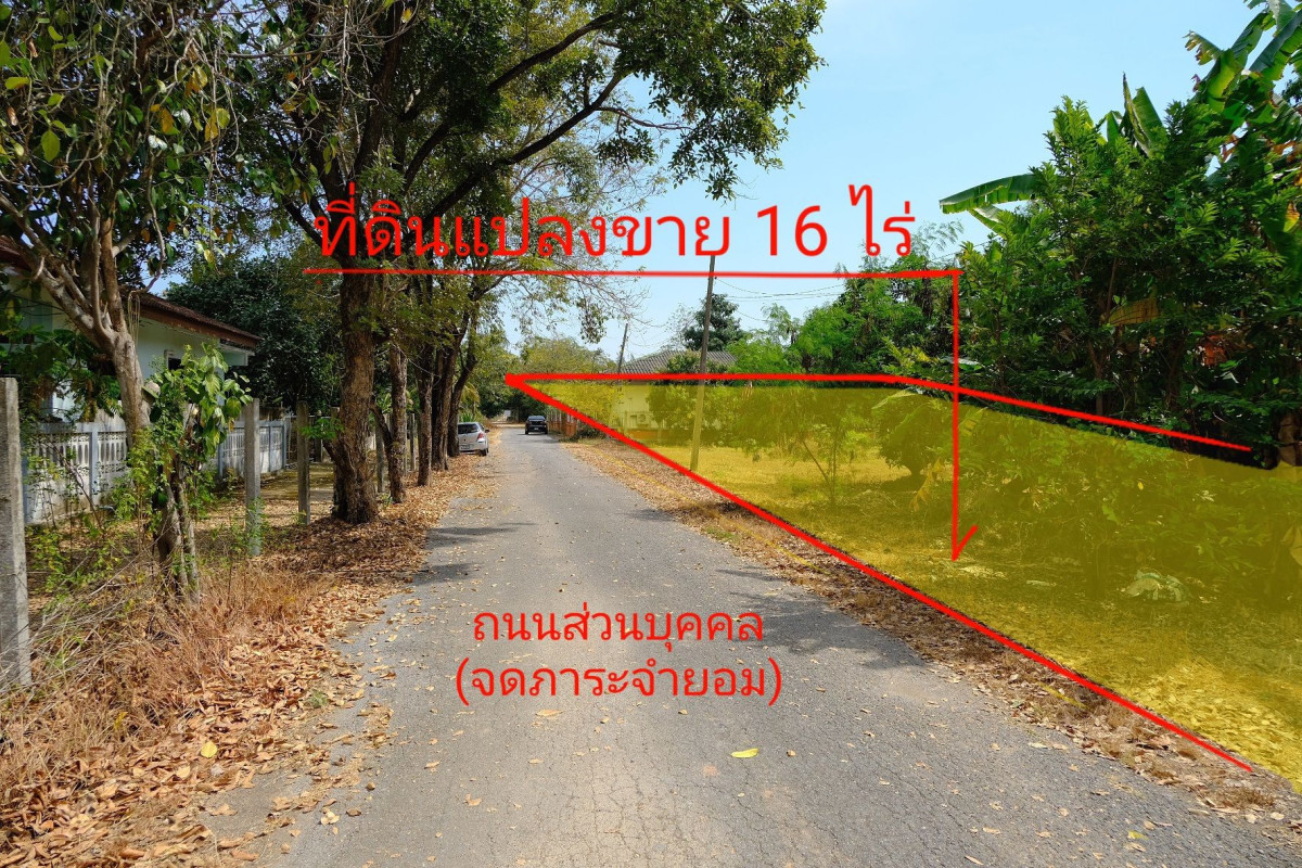 ที่ดินเปล่า ปทุมธานี หนองเสือ หนองสามวัง 32000000