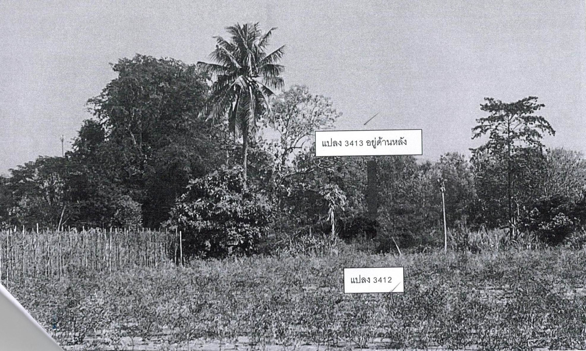 ที่ดินเปล่า ขอนแก่น ภูผาม่าน นาฝาย 145600