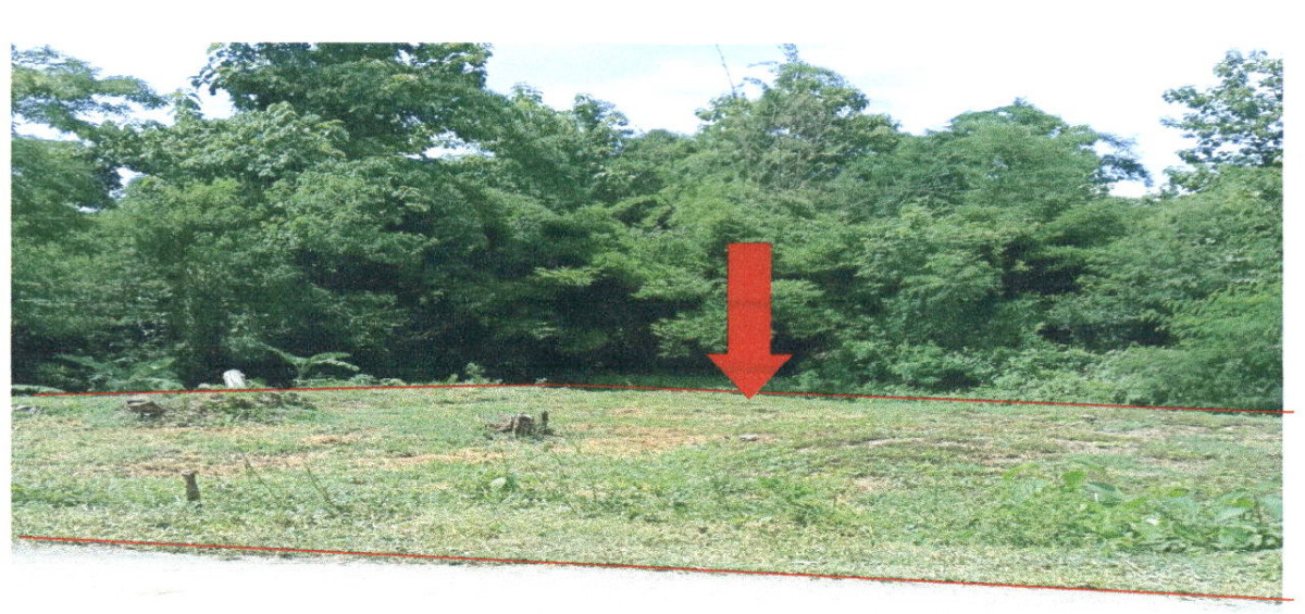 Residential land/lot Phrae Long Wiang Ta 13780