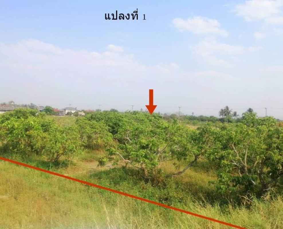 ที่ดินเปล่า เชียงใหม่ ดอยหล่อ ยางคราม 202250
