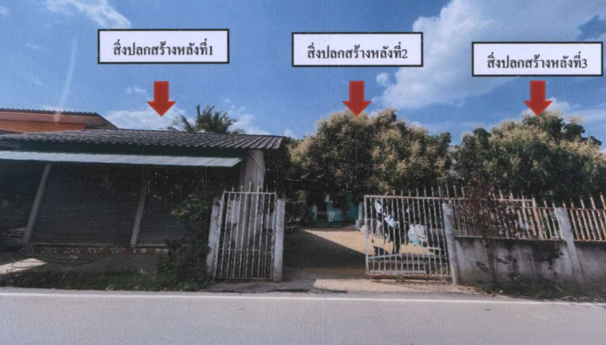 บ้านเดี่ยว เชียงใหม่ แม่แตง ช่อแล 772685