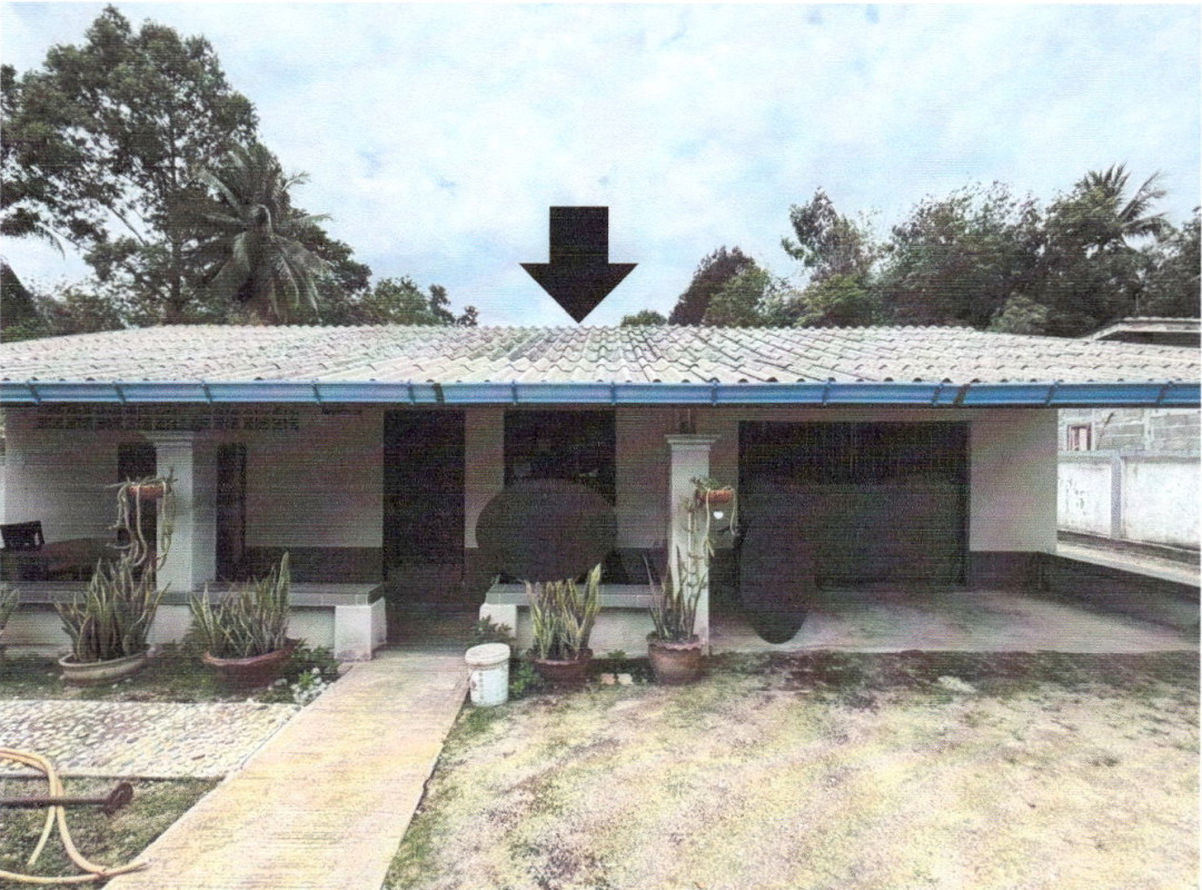 Single house Yala Raman Balo 1235310