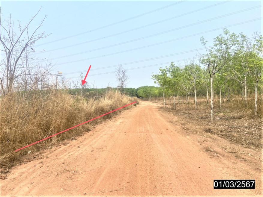 ที่ดินเปล่า หนองบัวลำภู ศรีบุญเรือง โนนสะอาด 1368000