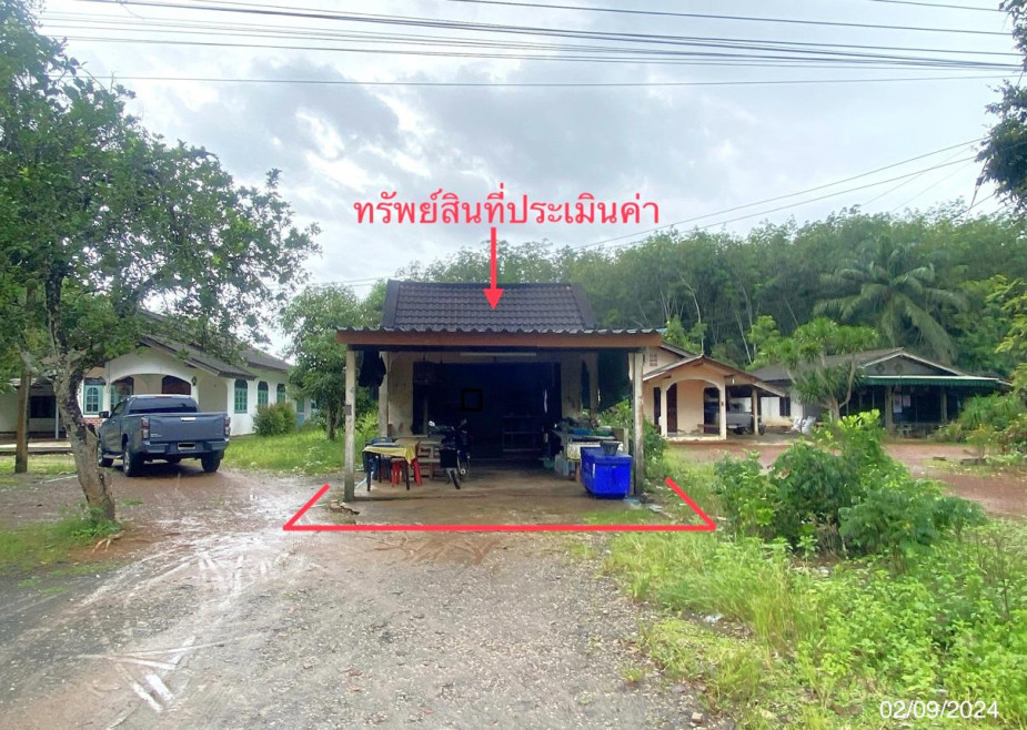 บ้านเดี่ยว บ้านเดี่ยว ตรัง ตรัง ปะเหลียน บ้านนา 949000