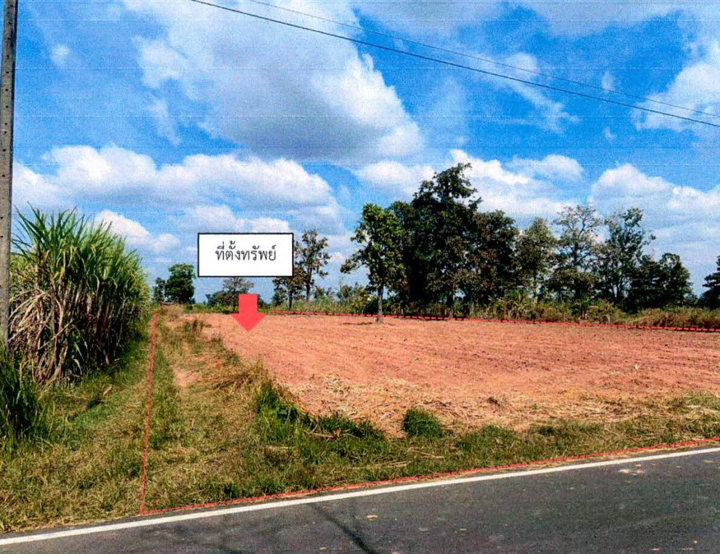 ที่ดินเปล่า สุรินทร์ สังขะ สังขะ 1336230