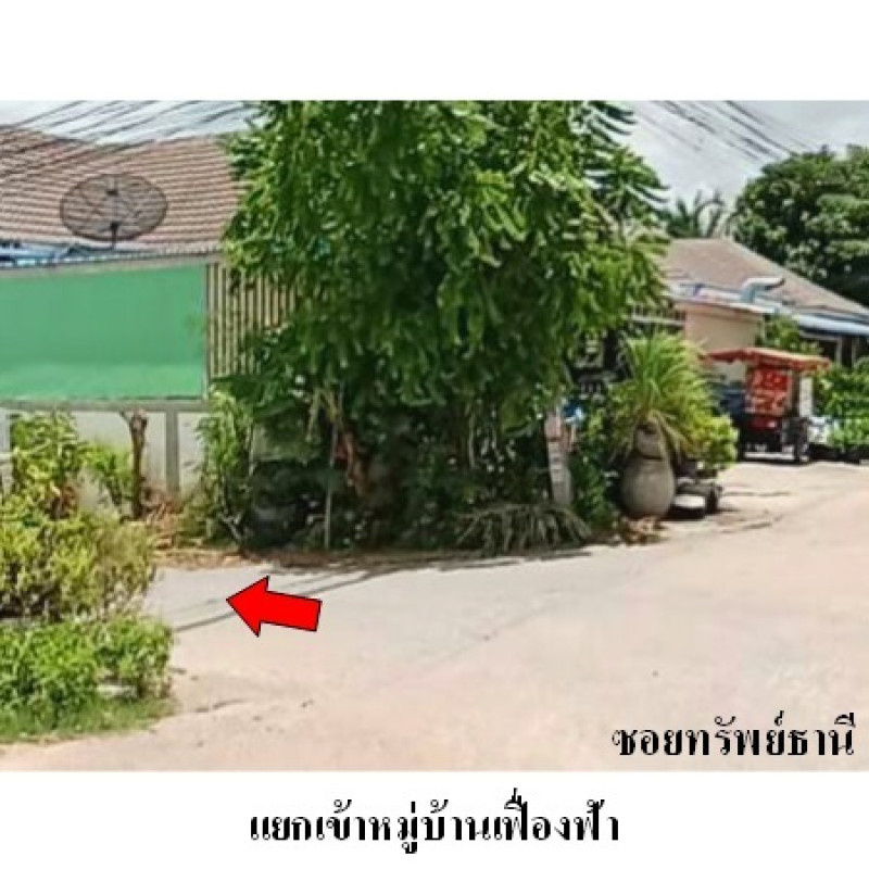 บ้านเดี่ยว เฟื่องฟ้า ระยอง ปลวกแดง ปลวกแดง 2071000