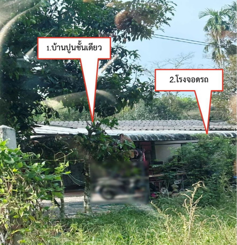 บ้านเดี่ยว สุราษฎร์ธานี บ้านนาสาร นาสาร 1320834