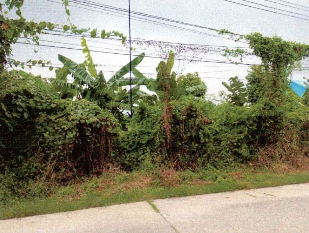 ที่ดินเปล่า นครปฐม เมืองนครปฐม นครปฐม 900000