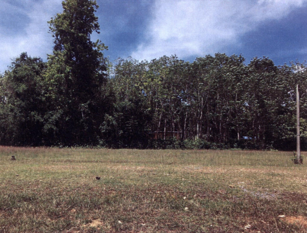 Residential land/lot Phatthalung Srinagarindra Chum Phon 30000