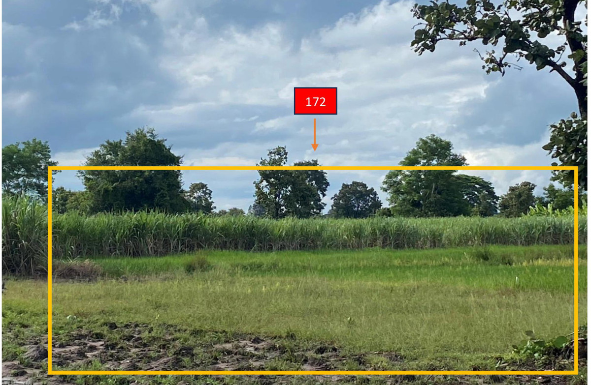 Residential land/lot Maha Sarakham Chuen Chom Kut Pla Duk 105580