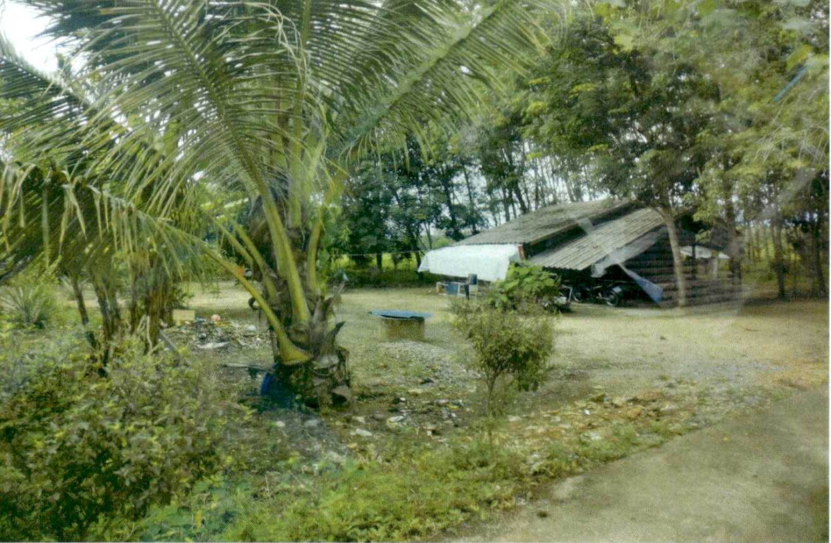 บ้านเดี่ยว นครศรีธรรมราช นบพิตำ กะหรอ 158440