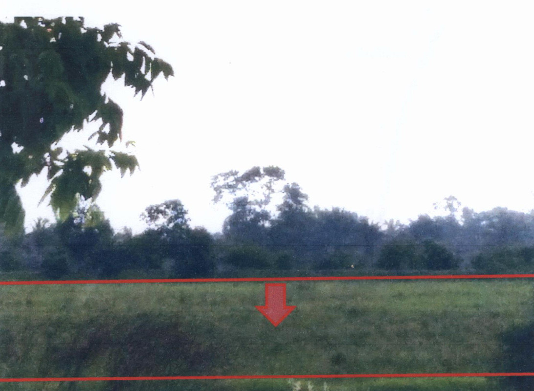 ที่ดินเปล่า ยะลา รามัน บาโงย 121650