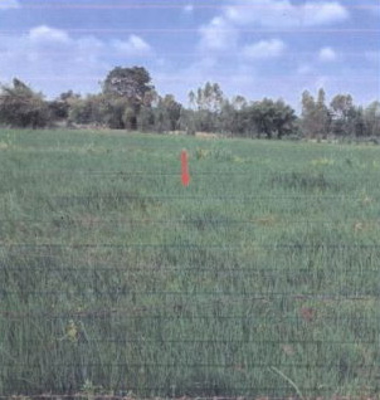 Residential land/lot Khon Kaen Nong Song Hong Don Du 468420